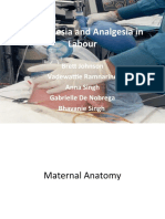 Anaesthesia and Analgesia in Labour