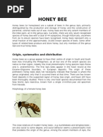 Download Honey bees and life cycle of silk moth by Siva Prakash SN47589979 doc pdf