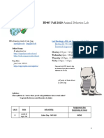 Active BI407 Fall 2020 Syllabus PDF