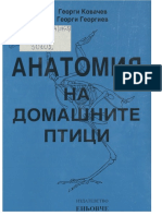 Anatomiq Na Domashnite Ptici PDF