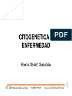 CitogeneticaEnf PDF