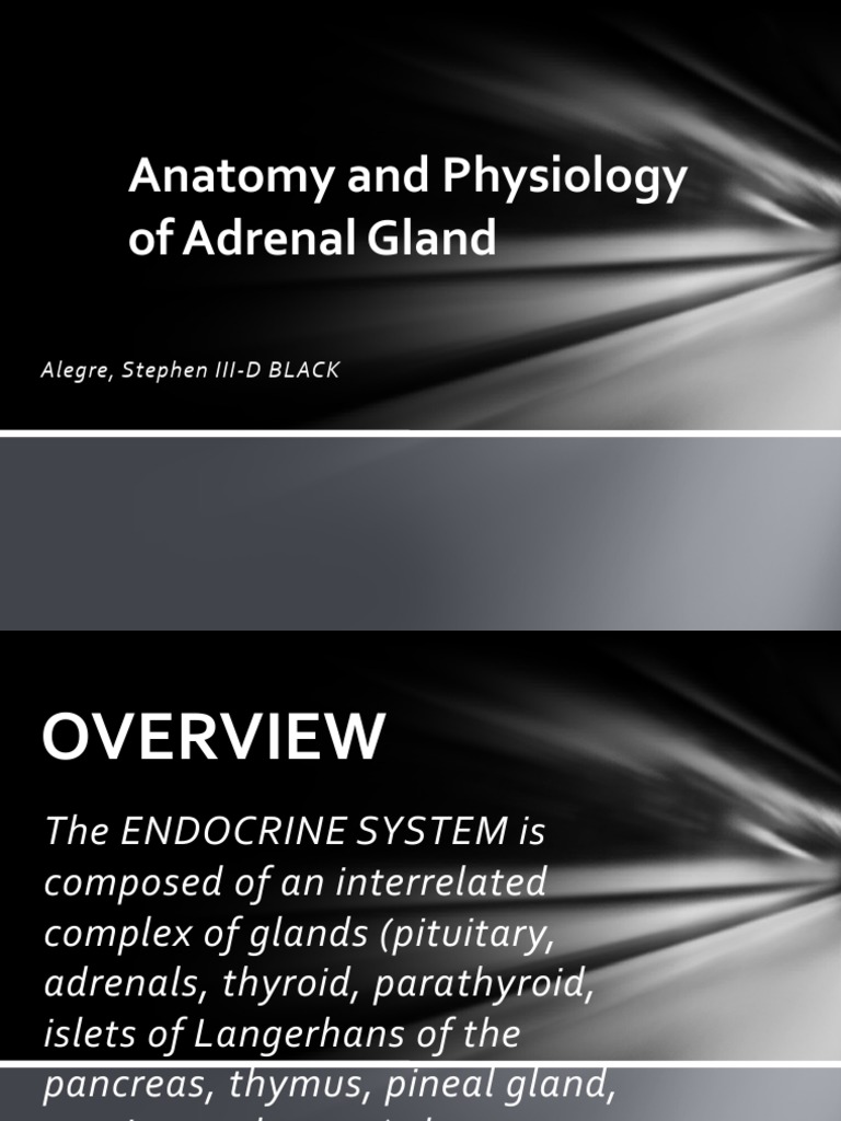 Anatomy of the Adrenal Gland Functions | PDF | Adrenal Gland | Cortisol