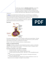 Glândulas e Hormônios