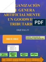 Reorganización Que Genera Artificialmente Un Goodwill Tributario