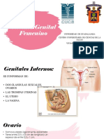 Sistema Genital Femenino PDF