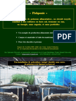 presentation_fishponic2.pdf