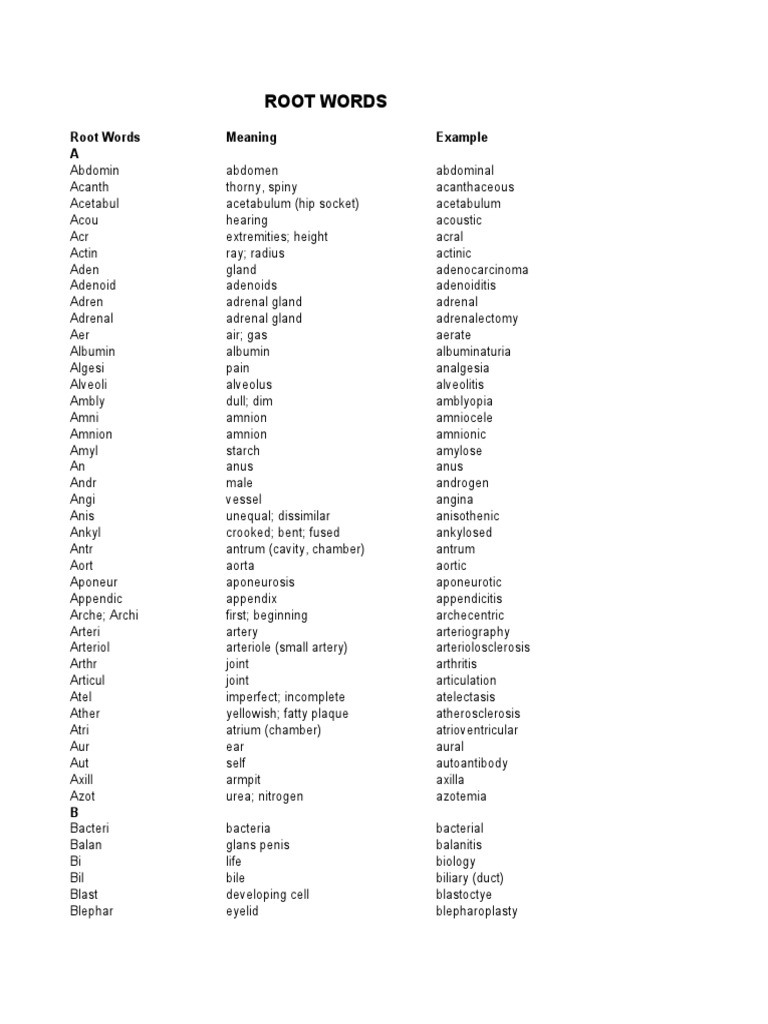 Medical Root Words Overview | PDF | Urinary System | Pelvis
