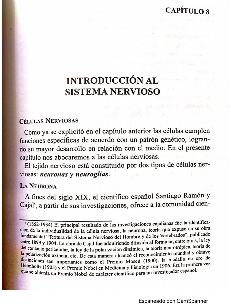 Mas Colombo-Cap-8 Biopsicologia PDF | PDF