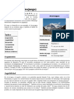 Aconcagua (Videojuego) PDF
