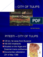 PITESTI – CITY OF TULIPS