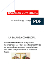 Balanza Comercial 2020