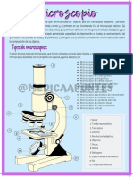 Microscopio Imagen