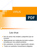 virus.pdf