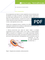 celulas_procarionte_aucarionte.pdf