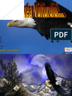renasterea vulturului