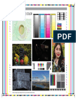 Test de Color-Dayana Mejia PDF