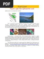 Download Kopi Gayo by R Iwan Budhiarta SN47593315 doc pdf