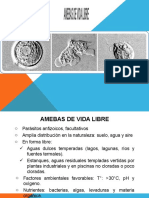 228371715-CLASE-7-Amebas-de-Vida-Libre.pptx