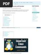 Linux Basic Commands