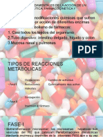Las 3 fases de la acción farmacológica