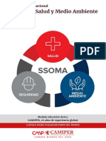 Brochure Diplomado Ssoma PDF