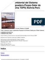 diagnostico ambiental titicaca desaguadero poopo.pdf