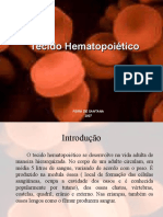 17219232 Tecido Hematopoietico