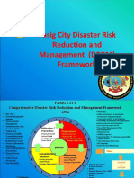 Pasig City's Comprehensive DRRM Framework