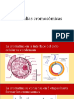 Anomalías Cromosómicas