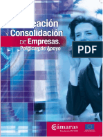 Creación y Consolidación de Empresas. Politicas de Apoyo