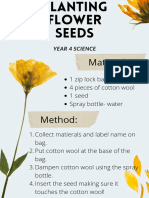 Planting Flower Seeds 1