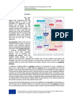 Cell Metabolism Refers To The Series of