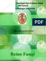 Microbiol Industrial - Hongos