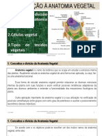 AULA 2 - BOTÂNICA GERAL .pdf