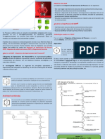 DIAGRAMA DE OPREACIONES  DOP (1 AÑO - FICHA 12).pdf