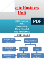 Strategic Business Unit Model