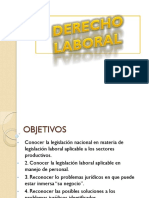 DERECHO LABORAL.pdf