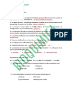 Catabolismo de Lipidos PDF