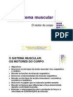 O sistema muscular