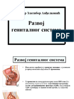 I 14. Nedelja - Razvoj Genitalnog Sistema PDF