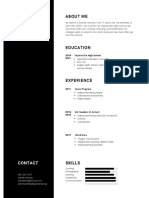 Black Professional Resume