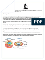 Biology For Kids Types of Cells