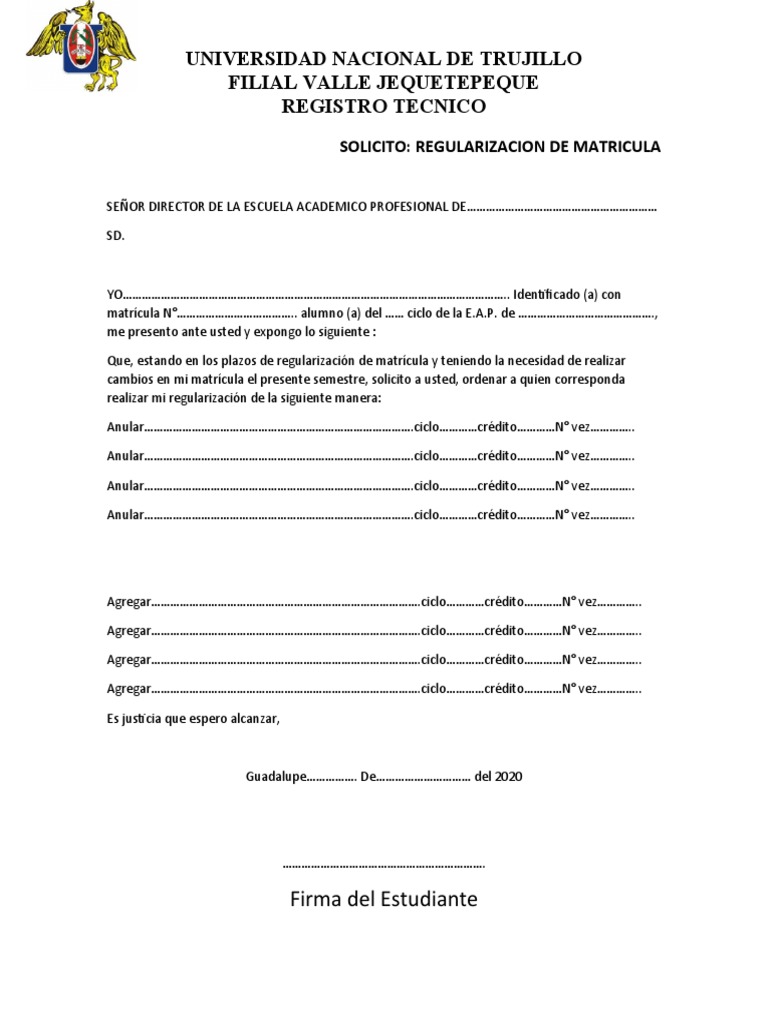 Formato de Regularización | PDF