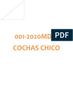 001-2020MDSJ Cochas Chico