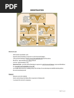 Menstruation: Menstrual Cycle