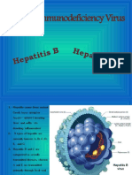 Hepatitis vs HIV: A Comparison of Liver Viruses