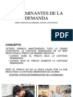 Determinantes de La Demanda