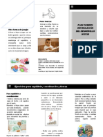 Folleto Plan Casero PDF