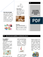 Folleto plan casero.pdf