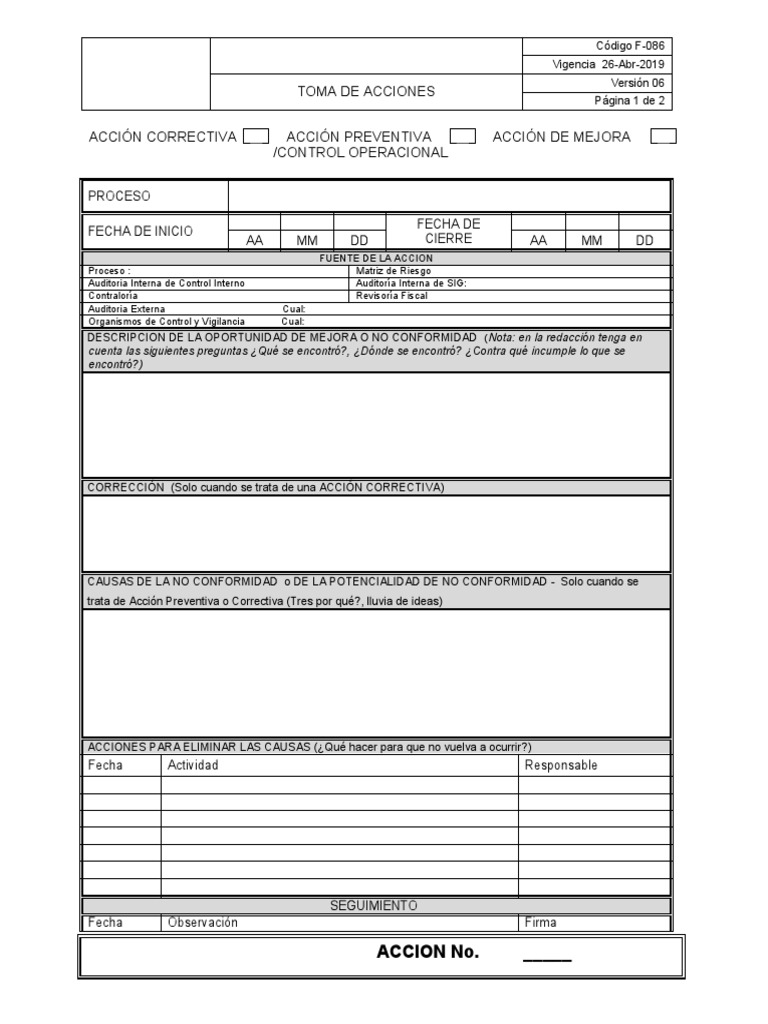 Formato Toma De Acciones Pdf Auditoría Business